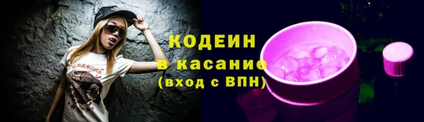 дмт Нея