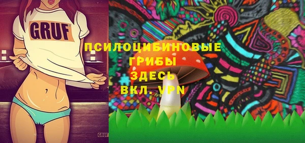 каннабис Новозыбков